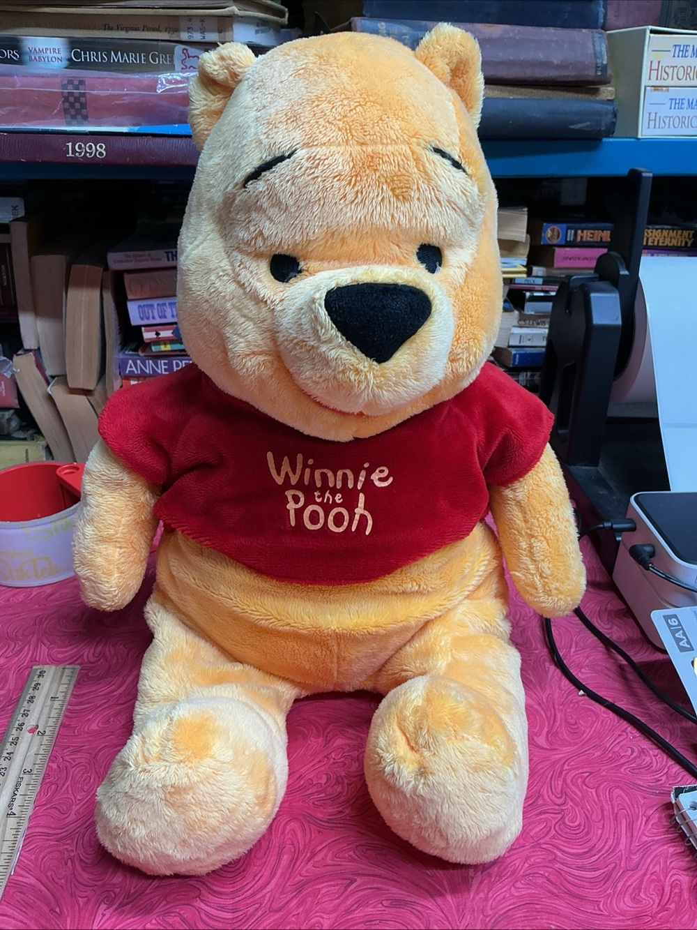 Disney Winnie the Pooh Plush - Yellow and Red